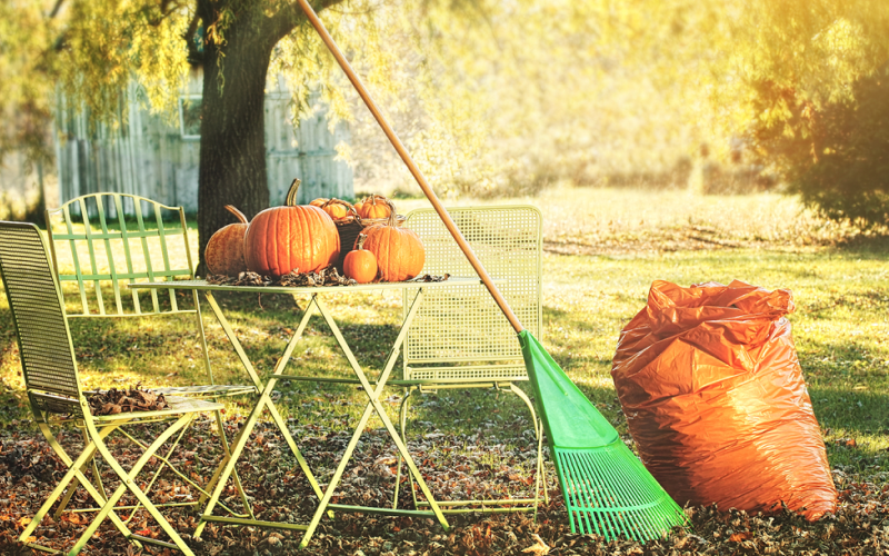 Осенние заботы садовода: 5 дел, которые важно успеть до заморозков
