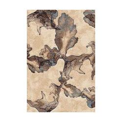 Ковер SIERRA D711 BEIGE-BROWN прямоугольник размер 2*3 м