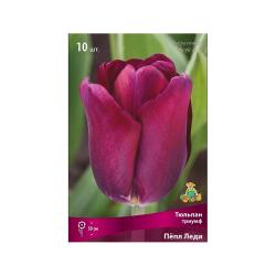 Тюльпан ПОИСК Пепл леди 10 шт