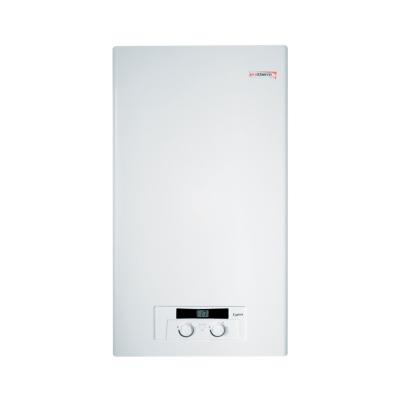 Котел газовый PROTHERM Рысь HK 11