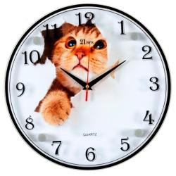 Часы настенные РУБИН Кот в бумаге 30 см 3030-1108