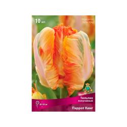 Тюльпан ПОИСК Пэррот кинг 10 шт