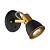 Спот ARTE LAMP Jovi A1677AP-1GO Золотистый, черный