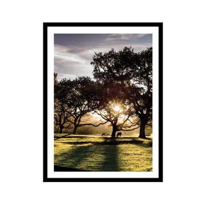 Постер в раме 30*40см Рассвет /230401802/Мирам/