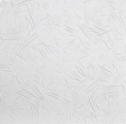 Плита потолочная ППС СОЛИД 500*500 мм C2042