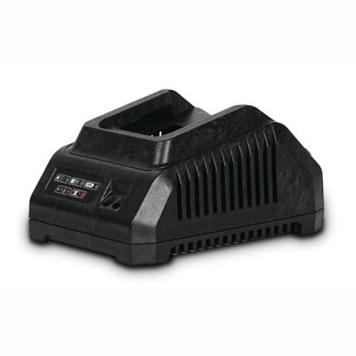 Устройство зарядное DWT CSP204009XS