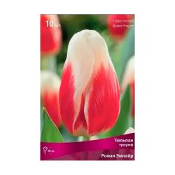 Тюльпан ПОИСК Роман эмпайр 10 шт
