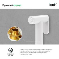 Лейка гигиеническая IDDIS 020WB0Gi20