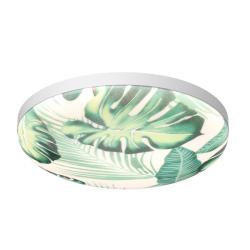 Светильник СОНЕКС Flori 7748/DL Белый