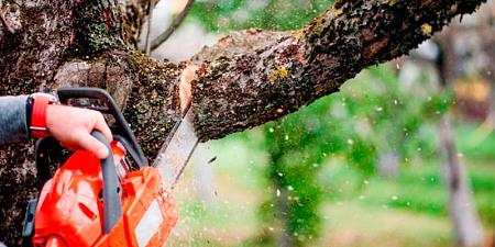 Советы по работе с бензопилой