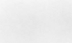 Обои ATELIERO Tempo 287251 