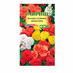 Бегония ГАВРИШ Попурри F1 4 шт
