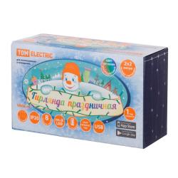 Гирлянда Занавес TDM 8 режимов мультиколор 2*2 м