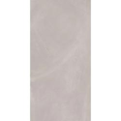 Плитка базовая ITALON Continuum Silver 80*160 см