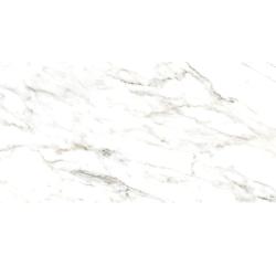 Плитка базовая AXIMA Vancouver Белый 60*120 см