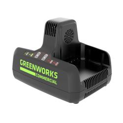 Устройство зарядное GREENWORKS G82C2