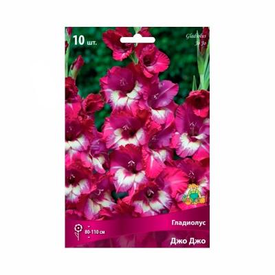 Гладиолус ПОИСК Джо джо 10 шт