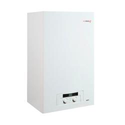 Котел газовый PROTHERM Рысь HK 24