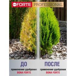 Удобрение минеральное BONA FORTE Для хвойных культур 100 г