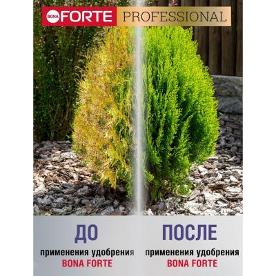 Удобрение минеральное BONA FORTE Для хвойных культур 100 г