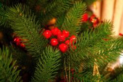 Ель искусственная ЦАРЬ-ЕЛКА Алиса 1,6 м 