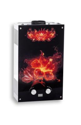 Газовая колонка WERT 10 EG Flower