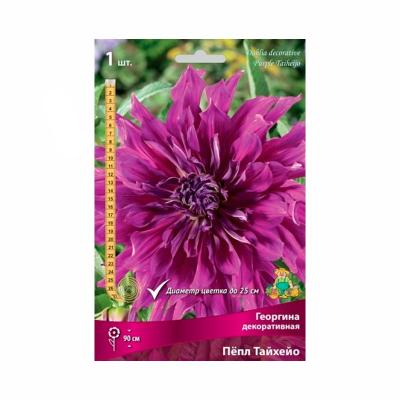 Георгина ПОИСК Пепл тайхейо 13 г