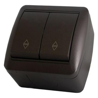 Переключатель TDM Селигер 2 клавиши шоколад SQ1818-0212