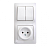 Блок розетка и выключатель SYSTEME ELECTRIC Glossa белый GSL000172