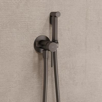 Гигиенический комплект IDDIS Axes встраиваемый 005GMR0i08