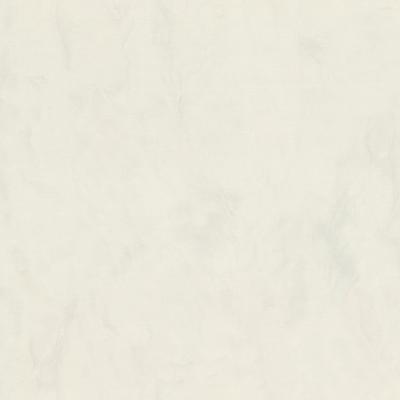 Обои EURO DECOR Ray 7297-00