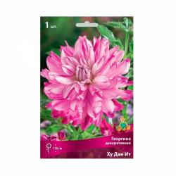 Георгина ПОИСК Ху дан ит 0,08 г