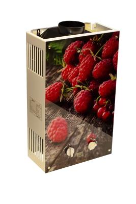 Газовая колонка WERT 10 EG Berry