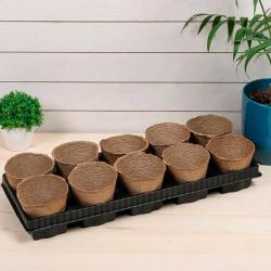 Набор для рассады ГАЗОНCITY 555*210*110 мм