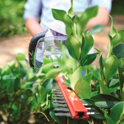 Кусторез GREENWORKS GD60HT66 Кусторез GREENWORKS GD60HT66