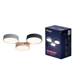 Люстра RITTER Scandia 52070 2 Серый