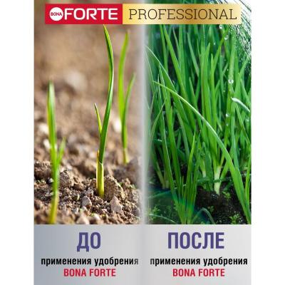 Удобрение минеральное BONA FORTE Для лука, чеснока 100 г