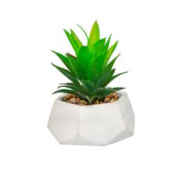 Кашпо Алоэ 12*12*15см /Rio1/Вещицы/