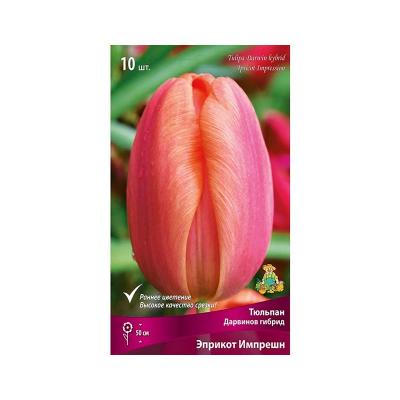 Тюльпан ПОИСК Эприкот импрешн 10 шт