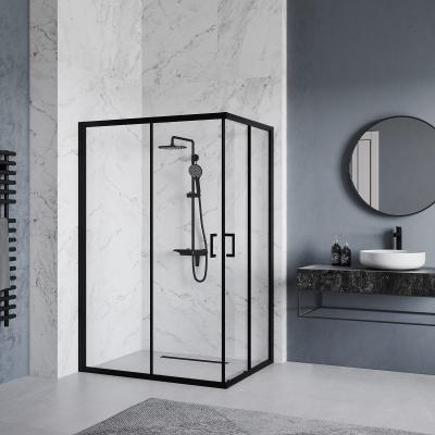 Душевое ограждение RGW PA-246B 80*100 см