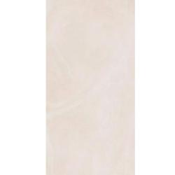 Плитка базовая ITALON Continuum Polar 60*120 см