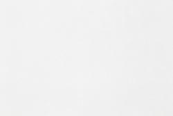 Обои ПАЛИТРА Vincent 72299-11 FM 