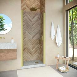 Душевая дверь VEGAS GLASS ЕР Novo h2000 60 03 01 