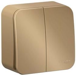 Выключатель SYSTEME ELECTRIC Blanca 2 клавиши титан BLNVA105014
