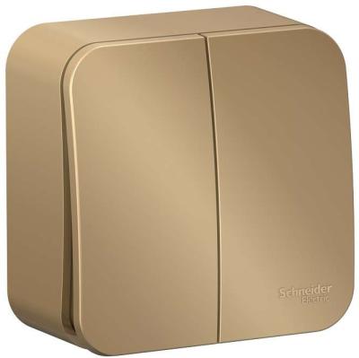 Выключатель SYSTEME ELECTRIC Blanca 2 клавиши титан BLNVA105014