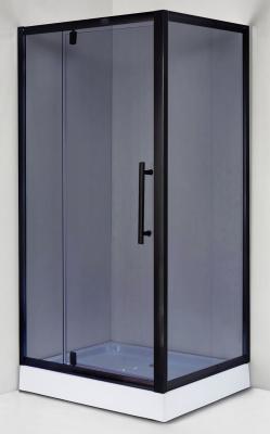 Душевое ограждение ДАНА 100*80 см 976/22
