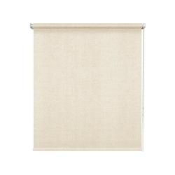 027.01 Рулонная штора День/Ночь Лайнс Лен 38х150 /АС МАРТ/