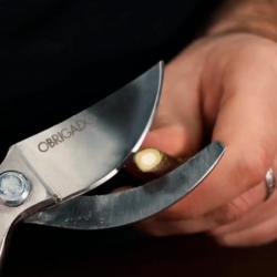 Секатор OBRIGADO 2458