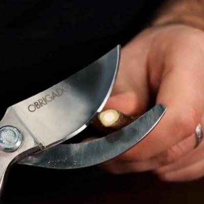 Секатор OBRIGADO 2458