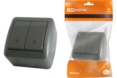 Выключатель TDM Селигер 2 клавиши серый SQ1818-0102